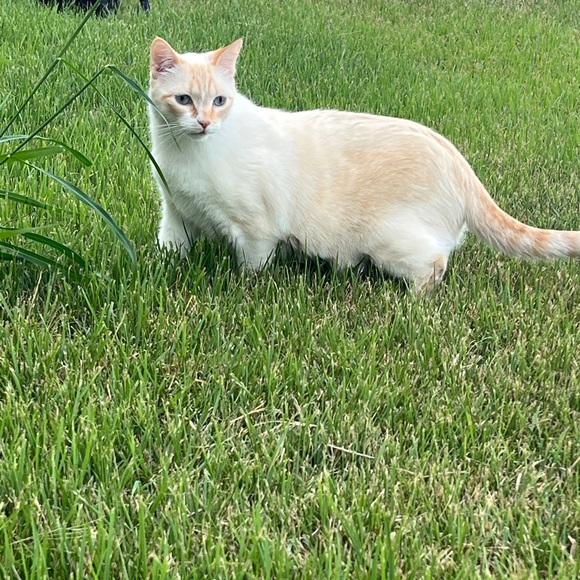 Meet your Posher, Reaghan - Picture 3 of 3